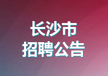 长沙市政务服务中心中级雇员招聘计划表