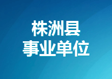 株洲县2017年公开招聘高校应届毕业生招聘岗位及计划表