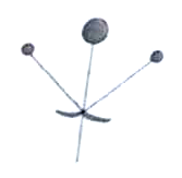 11.png